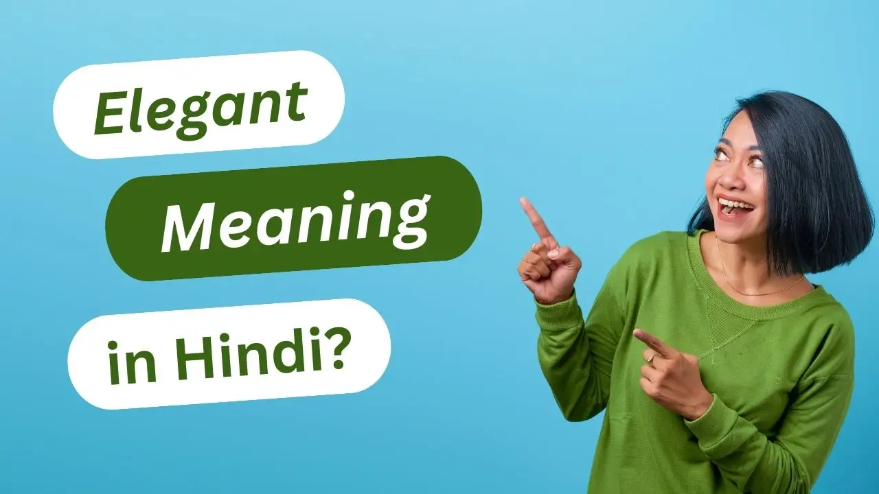 Elegant meaning in hindi